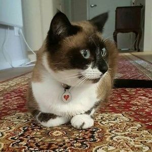 Meet your Posher, Susan